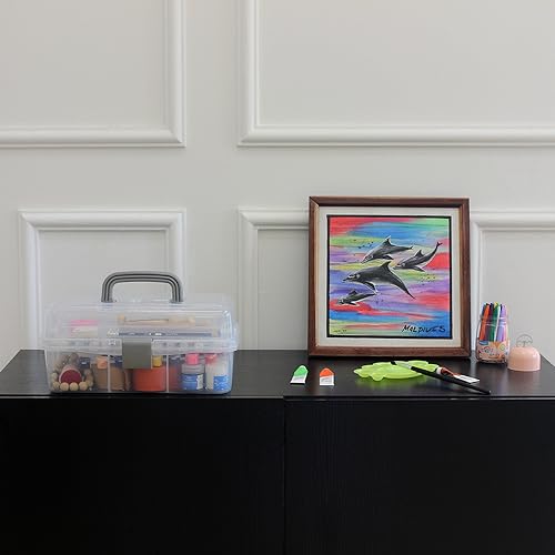 2 Tier Plastic Storage Box with Trays
